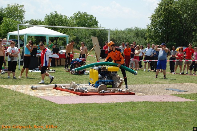img00210.jpg